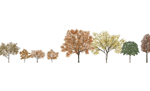 The Modern Tree 3d model