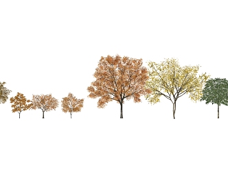 The Modern Tree 3d model