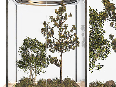 Modern Tree Glass House Patio Green Planting Landscape Landscaping Landscape Setches Indoor Plants Landscaping Setches model