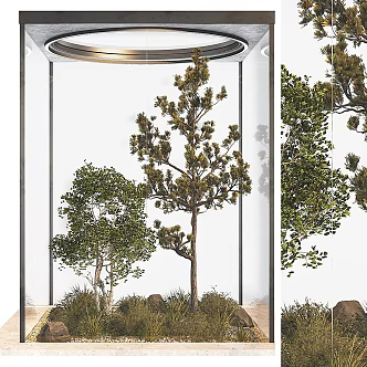 Modern Tree Glass House Patio Green Planting Landscape Landscaping Landscape Setches Indoor Plants Landscaping Setches 3d model