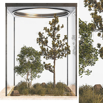 Modern Tree Glass House Patio Green Planting Landscape Landscaping Landscape Setches Indoor Plants Landscaping Setches 3d model