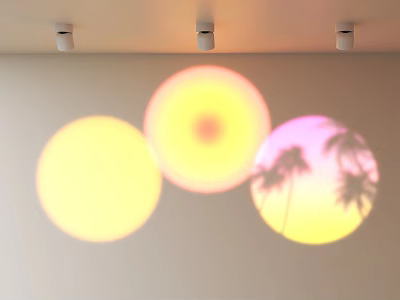 Colorful Light Projections With Palm Tree Shadow On White Wall And Ceiling Spotlights 3d model