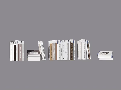 Assorted Books and Magazines Displayed on Shelf with Stacked and Upright Arrangements 3d model