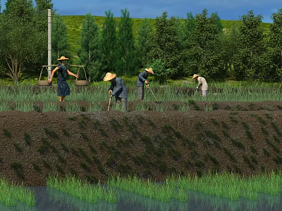 Vibrant Rural Landscape Featuring Farmers Cultivating Green Rice Fields and Tall Trees 3d model