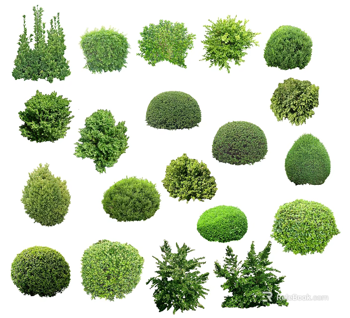Various Types Of Green Arbor Trees With Different Shapes And Foliage 3d model 
