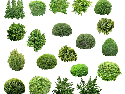 Various Types Of Green Arbor Trees With Different Shapes And Foliage 3d model