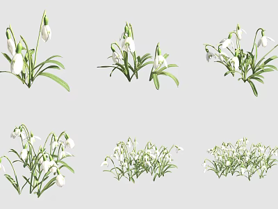 Snowdrops With White Flowers And Green Leaves In Various Clusters Arrangements 3d model