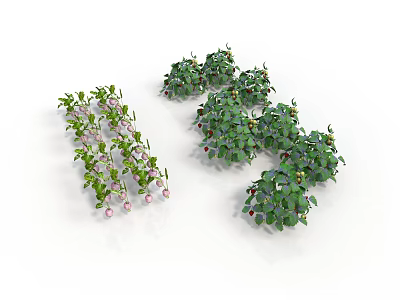 Clustered Green Leafy Plants With Pink Flowers Arranged On White Background 3d model