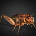 Realistic 3D Render Of Brown Reptile With Long Legs And Shiny Skin Texture