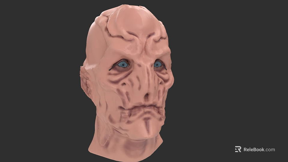 Game And Movie Character 3D Model Featuring Blue Eyes And Detailed Facial Texture 3d model 