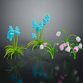 Vibrant Garden Plants with Blue White Pink Flowers and Green Leaves