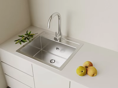Stainless Steel Kitchen Sink With Faucet Green Leaves And Fruits On White Countertop 3d model