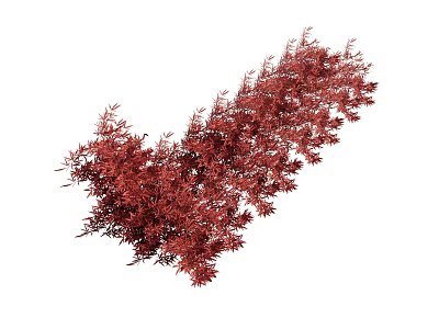 Vibrant Red Flowering Plants With Lush Bushy Foliage And Petals 3d model