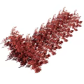 Vibrant Red Flowering Plants With Lush Bushy Foliage And Petals