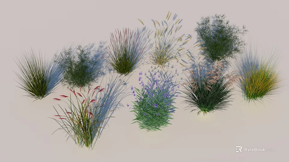 Diverse Aquatic Plants Collection Featuring Lush Green Foliage And Various Species 3d model 