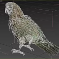 Kea Parrot Flying Animal With Green Brown Feathers Standing In Natural Habitat