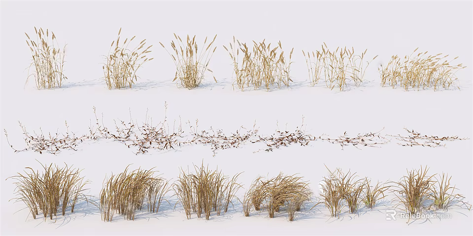 Yellowish Brown Grasses with White Covering Various Forms Upright and Slightly Curved on Gray Background 3d model 