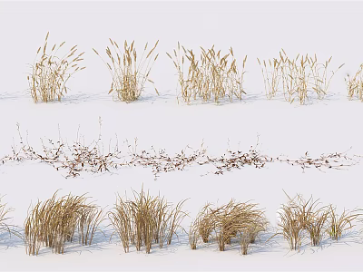 Yellowish Brown Grasses with White Covering Various Forms Upright and Slightly Curved on Gray Background 3d model