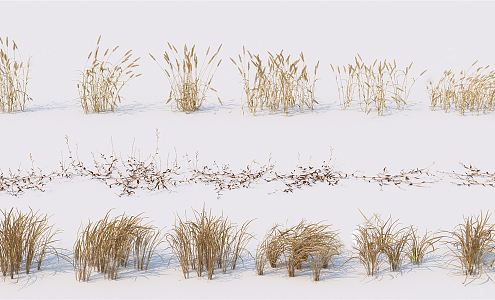 Modern Grass Hay Dry Reed Dry Flower Weeds Flowers Autumn Flowers Reed Dry Branches Autumn Grass Plants 3d model