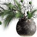 Dark Earthenware Vase With Branches Pine Needles And Green Round Fruits