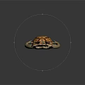 Turtle Shell Shaped Lyre Musical Instrument With Intricate String And Pillar Design