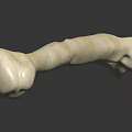 Human Bone Organ Structure With Hair Fibers On Dark Reflective Background