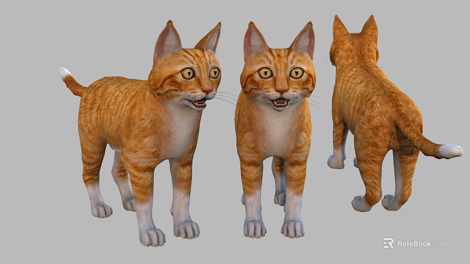 Three Cute Orange Cats Shown From Different Angles Front And Back Views 3d model