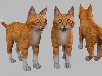 Three Cute Orange Cats Shown From Different Angles Front And Back Views 3d model