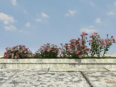 Blooming Pink Flowers Neatly Arranged In Stone Planter Against Blue Sky Background 3d model
