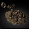Whole and Cracked Eggs Displayed on Rocky Earthy Base Surface Arrangement