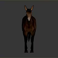 Realistic Detailed Brown Horse Standing In Side View On Gray Background