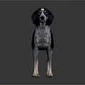 Black And White Spotted Dog Standing On Dark Surface With Reflection 3d model