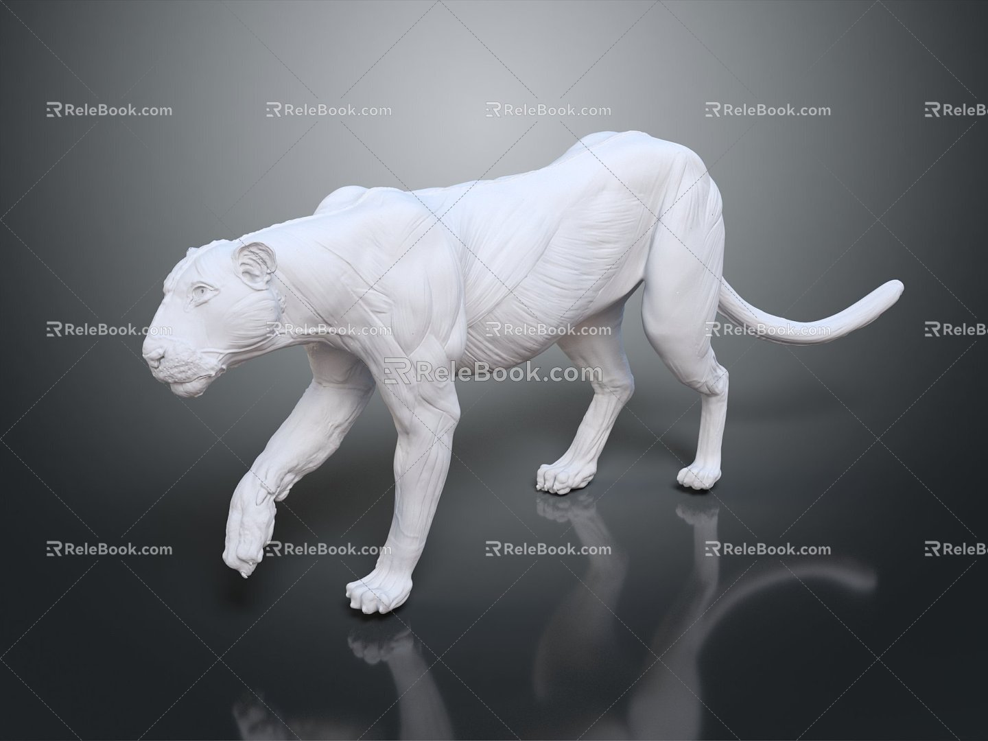 Modern Statue Bengal Tiger Anatomy Bengal Tiger 3d model