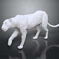 Modern Statue Bengal Tiger Anatomy Bengal Tiger 3d model