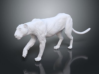 Modern Statue Bengal Tiger Anatomy Bengal Tiger 3d model