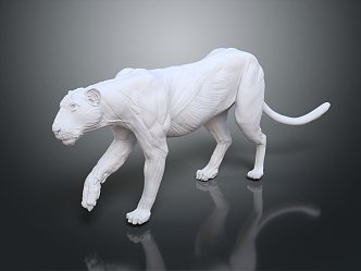 Modern Statue Bengal Tiger Anatomy Bengal Tiger 3d model