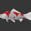 Vibrant White and Red Koi Fish with Distinctive Color Patterns and Markings