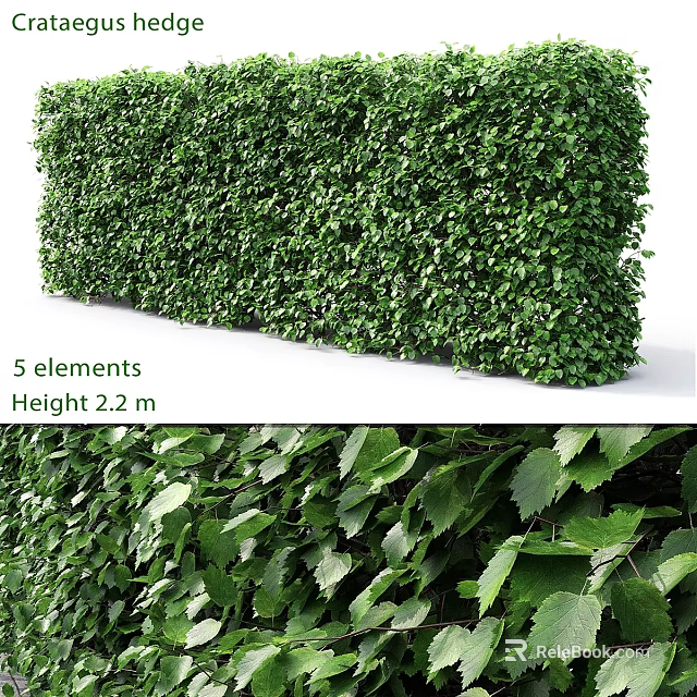 Decorative Greenery Plant Arrangement With 5 Elements Height 2.2m And Lush Leaves 3d model 