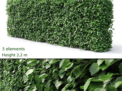 Decorative Greenery Plant Arrangement With 5 Elements Height 2.2m And Lush Leaves 3d model