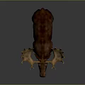 Majestic Moose With Large Antlers And Thick Brown Fur Standing On Gray Background