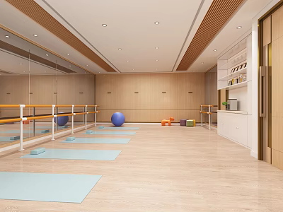 Modern Fitness Studio With Yoga Mats Exercise Balls Mirror Walls And Wooden Flooring 3d model