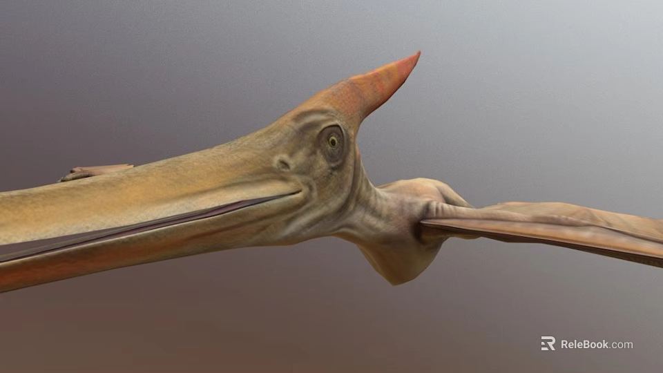 Prehistoric Pterosaur with Elongated Beak Prominent Cranial Crest and Detailed 3D Rendering 3d model 