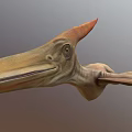 Prehistoric Pterosaur with Elongated Beak Prominent Cranial Crest and Detailed 3D Rendering