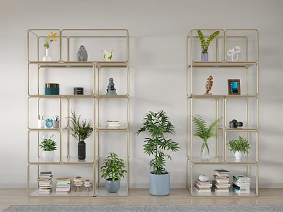 Modern Open Bookshelves with Gold Frame Potted Plants Decorative Items and Books in Minimalist Room 3d model