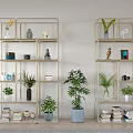 Modern Open Bookshelves with Gold Frame Potted Plants Decorative Items and Books in Minimalist Room
