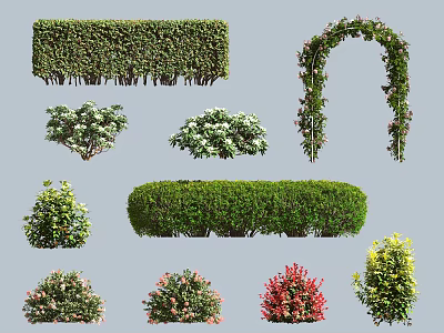 Different Types of Decorative Bushes with Various Shapes and Flowering Features 3d model