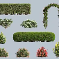 Different Types of Decorative Bushes with Various Shapes and Flowering Features