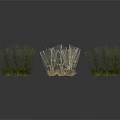 Natural Grass Clumps Landscape Decor Elements With Green And Dry Varieties And Realistic Textures