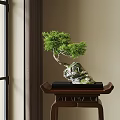 Bonsai Plant With Curved Trunk Green Foliage On Wooden Table Indoor Setting