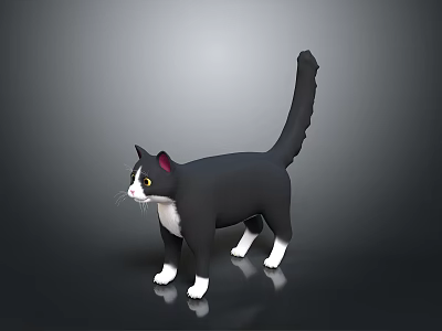 Black And White Cat Standing On Dark Background With Reflective Surface And Detailed Features 3d model